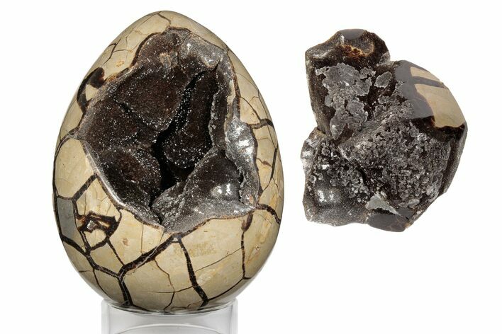 Polished Septarian Dragon Egg Geode - Black Crystals #191461